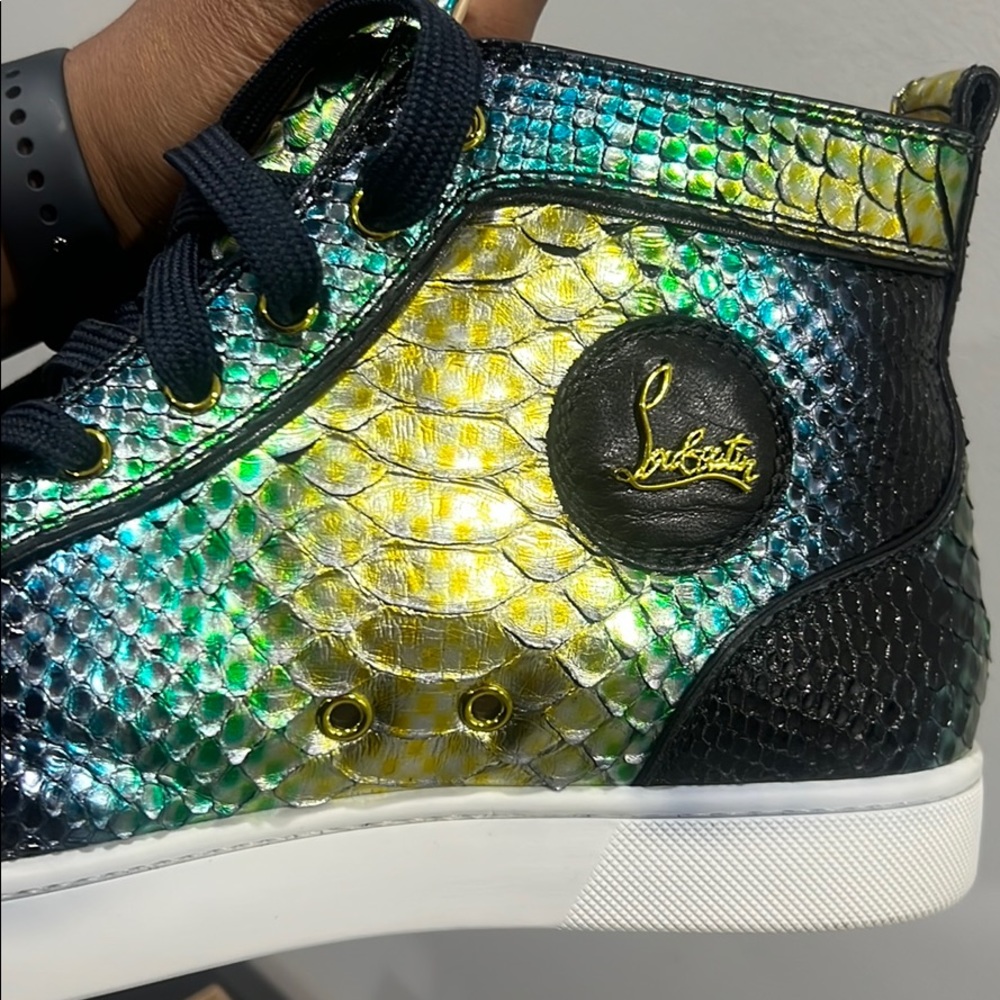 Louis Flat Phython Aquarium - image 5